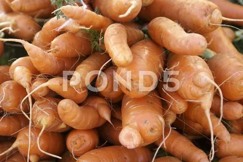 Ends Of Fresh Carrots
