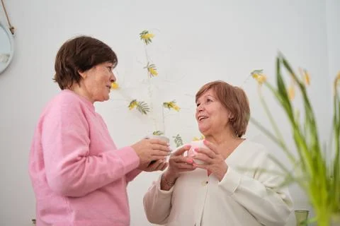 Enduring bonds: Two beaming older women cherishing their time together over tea Foto stock