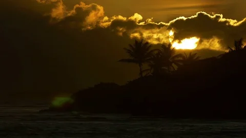 Enduring dusk outlining the clouds and palm trees beside the sea Stock Footage 77558486