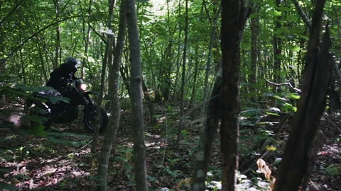 Enduro in the forest among the trees Stock Footage 117664603