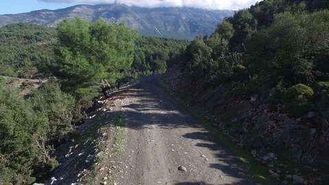 Enduro Motocross Pilot Trainning on the mountain Video stock 101784864