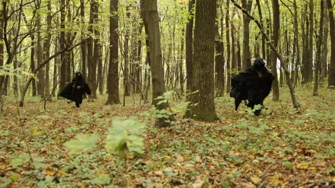 Enemys attack, forest path, occult forest Stock Footage 337270057