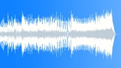 Energetic Allman Brothers Style Americana Backyard Hoedown CelebrationStock Music