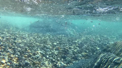 Energetic bubbles zip and swirl within surging currents, forming arcs and lines Stock Footage 314665081