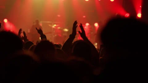 Energetic Concert Crowd with Hands Up Clapping Stock Footage 335273825