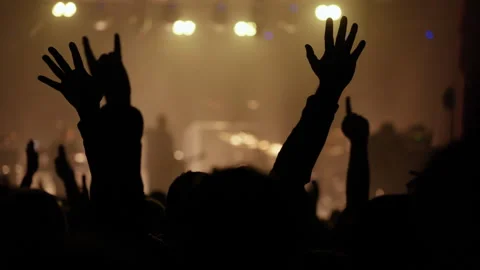 Energetic Crowd Raising Hands at Live Concert Event Stock Footage 335549830