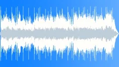 Energetic Hard Country Rock 30sec editStock Music