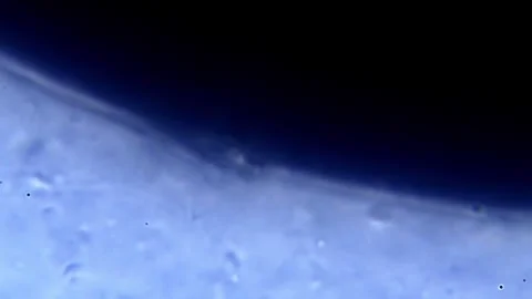 Energetic movement of large number of sperm in the semen fluid under microscope Stock Footage 330858201