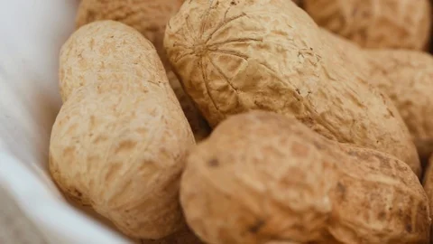 Energy Balls. Step by step recipe. Inshell peanuts in a white bowl. 库存影片 123292371