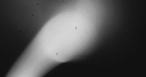 Energy Experiments. Retro Black and White Style. Plasma Lights. Witchcraft 動画素材 122575797