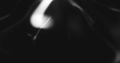 Energy Experiments. Retro Black and White Style. Plasma Lights. Witchcraft Vídeo Stock 122576014