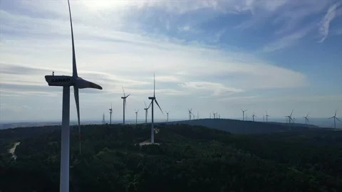 Energy-generating wind roses Stock Footage 148529424