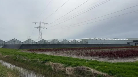 Energy infrastructure in a countryside setting with grazing horses, canals,.. 库存影片 334079314