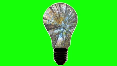 The energy of light. observing the cyclical change of seasons, symbolizes the Stock Footage 318973636