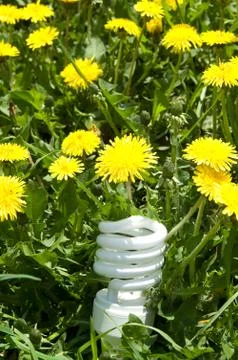 Energy saving bulb in grass Stock Photos