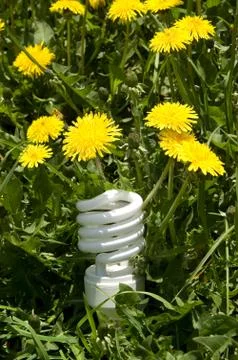 Energy saving bulb in grass Stock Photos