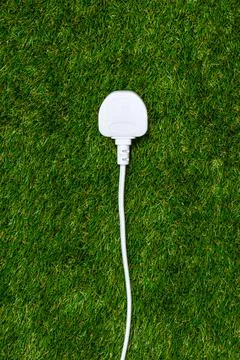 Energy saving concept of plug plugged into sustainable power source of grass  Stock Photos