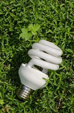 Energy Saving Lamp Foto stock