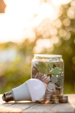 Energy saving LED BULB ECO With the environment Stock Photos