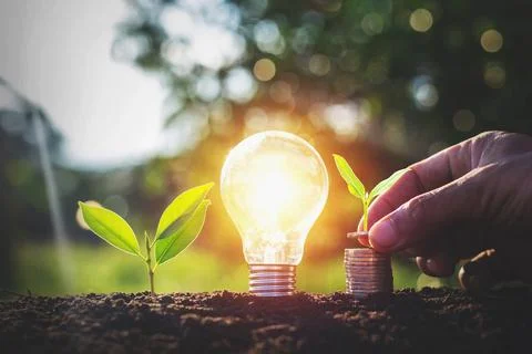 Energy saving light bulb and tree growing on stacks of coins on nature back.. Stock Photos