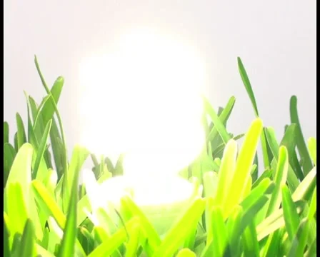 Energy saving light bulb in grass V5 - PAL Stock Footage 10761305