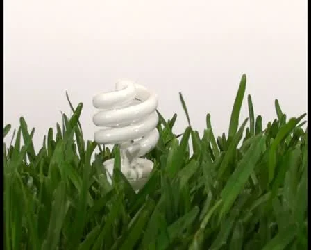 Energy saving light bulb in grass V2 - PAL 스톡 동영상 10761379