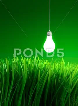 Energy saving light bulb Stock Illustration