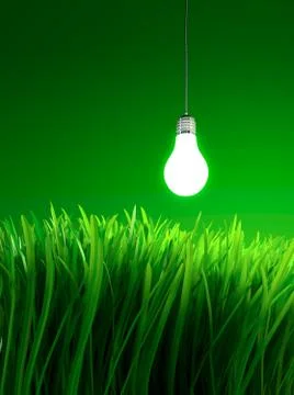 Energy saving light bulb Stock Illustration