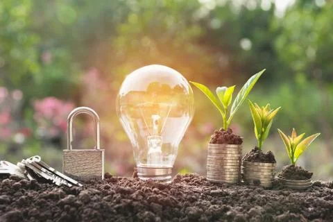 Energy saving light bulb with lock and tree growing on stacks of coins on nat Stock Photos
