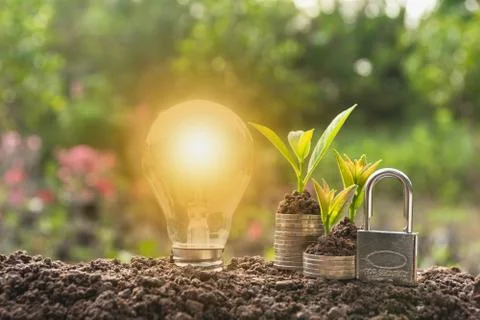 Energy saving light bulb with lock and tree growing on stacks of coins on nat Stock Photos