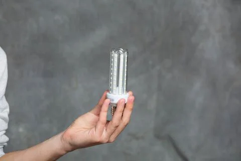 Energy-saving light bulb to save money on electricity Stock Photos