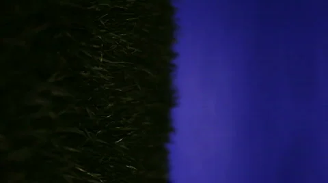 Energy saving light bulb turning on as it's screwed into green grass, vertical 스톡 동영상 365759