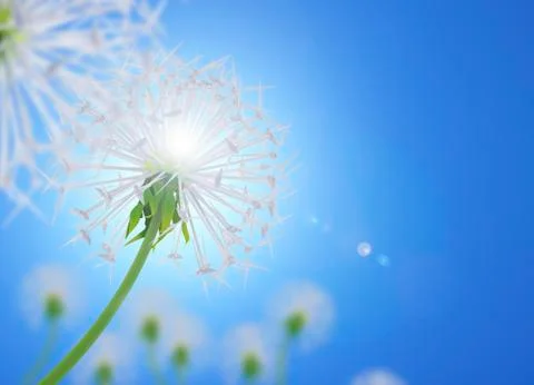 Energy saving Photos