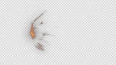 Energy shield Vidéo 300670810