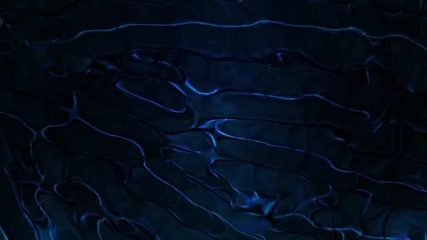Energy waves with lights and particles flowing towards screen. Stock Footage 273302390