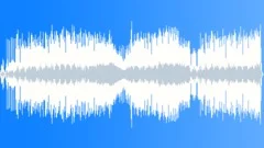 The EnforcerStock Music