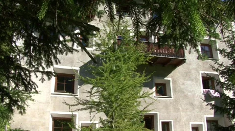 Engadin Houses With Trees Stock-Footage 500128