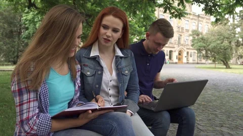 Engaged female students collaborate on campus while a guy studies nearby Stock Footage 311944572