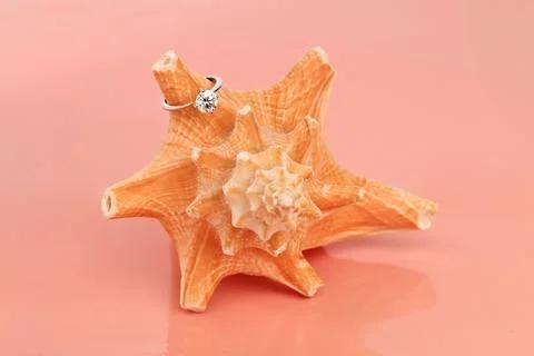 An engagement diamond ring is placed on top of a seashell on pink background 库存照片