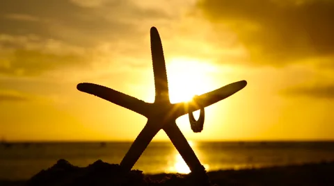 Engagement ring and starfish on beach at sunset love concept Stock Footage 58492887
