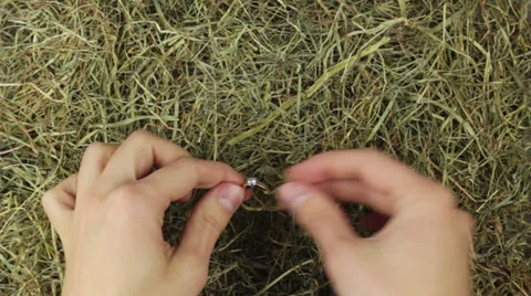A engagement ring with a big diamond in straw Stock Footage 24918269