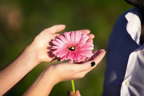 Engagement ring on a flower Stock Photos