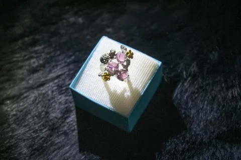 Engagement ring in a gift box Stock Photos