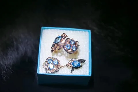 Engagement ring in a gift box Stock Photos