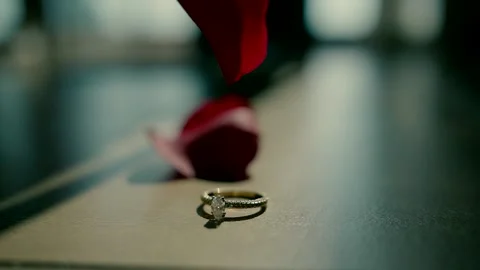 An engagement ring is placed on the table and red rose petals fall on it. Video stock 226792815