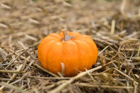 An engagement ring on a pumpkin. Stock Photos
