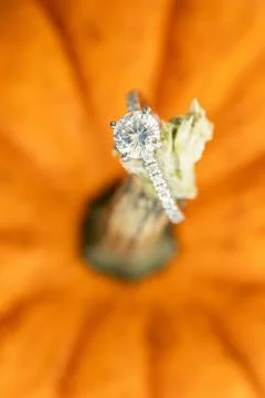 An engagement ring on a pumpkin stem. Stock Photos