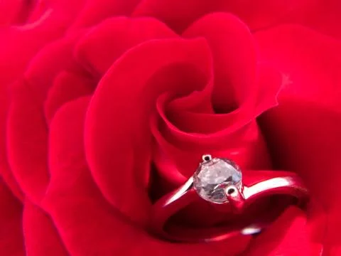 Engagement ring on a red rose Stock Photos