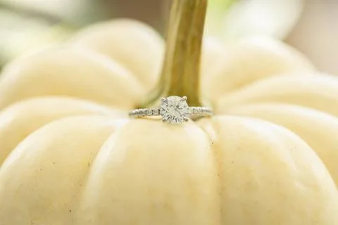 An engagement ring on a white pumpkin. Stock Photos