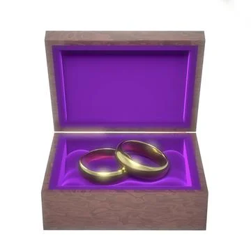 Engagement Rings Illustrazione stock